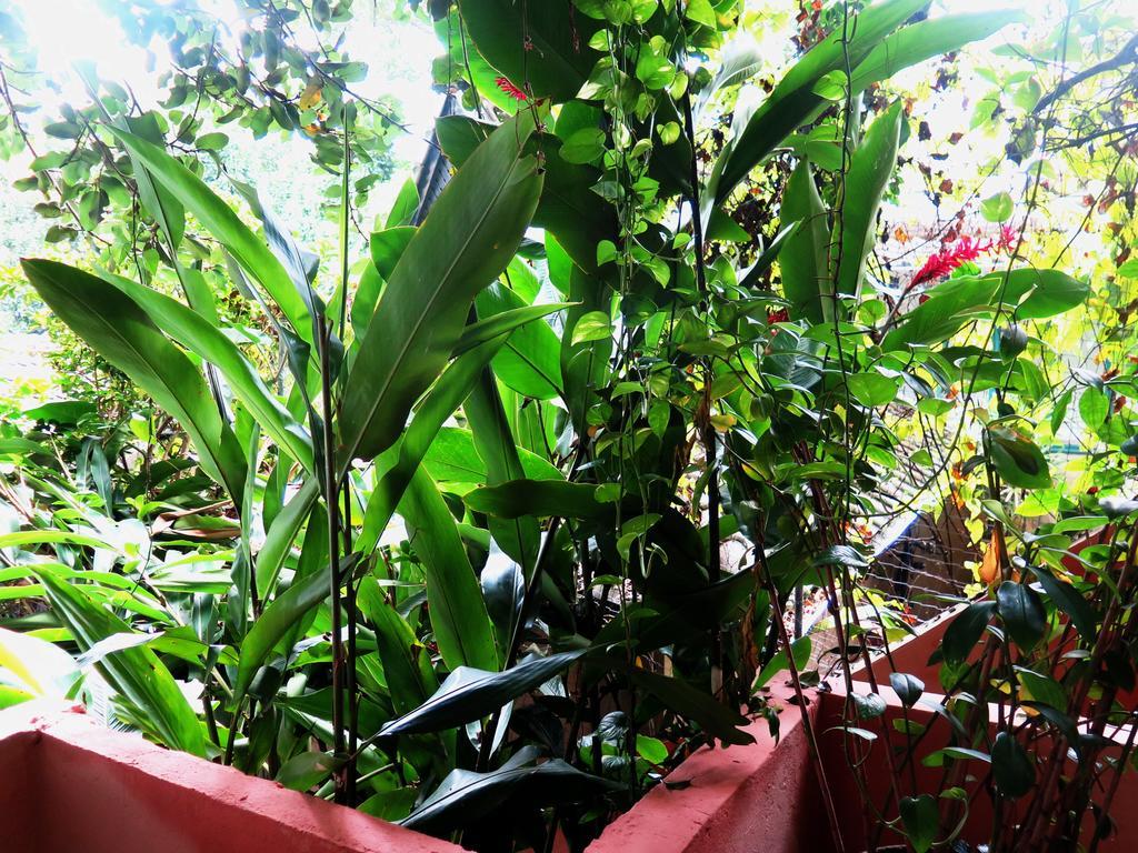 Bed and breakfast Ti Río de Janeiro